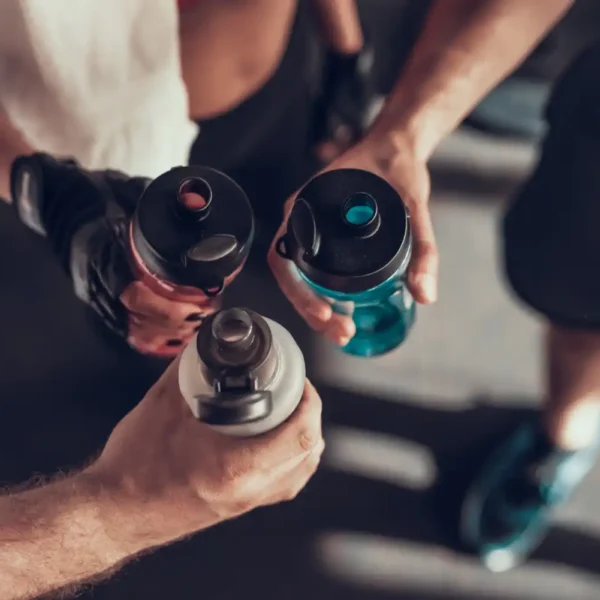 sesiones de entrenamiento